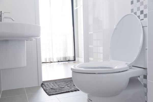 Toilet Relocation in Reston