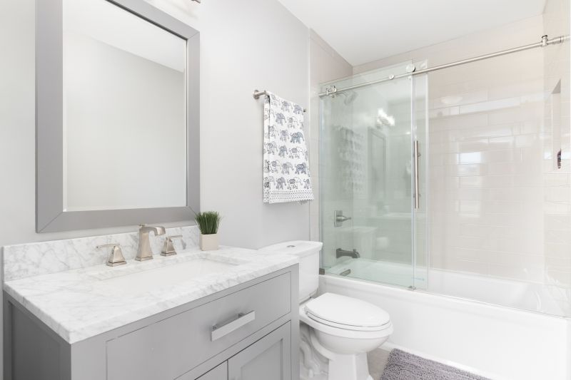 Top Tub To Shower Conversion Companies in Aldie, VA